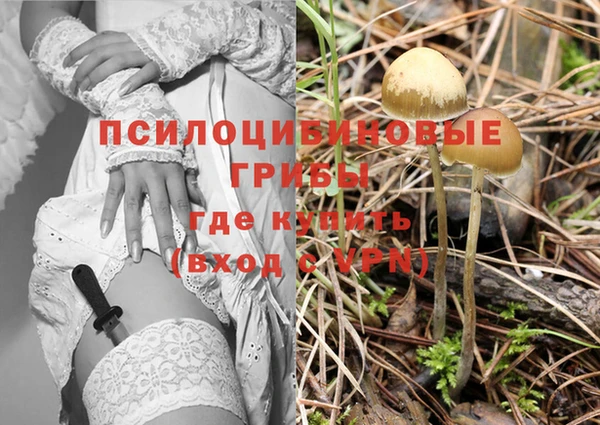 ALPHA PVP Остров